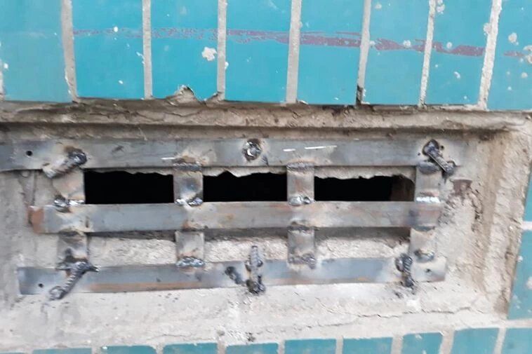 В Днепре нескольких котов заживо замуровали в подвале. Новости Днепра