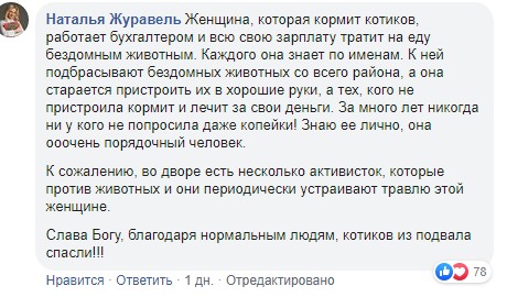 В Днепре нескольких котов заживо замуровали в подвале. Новости Днепра