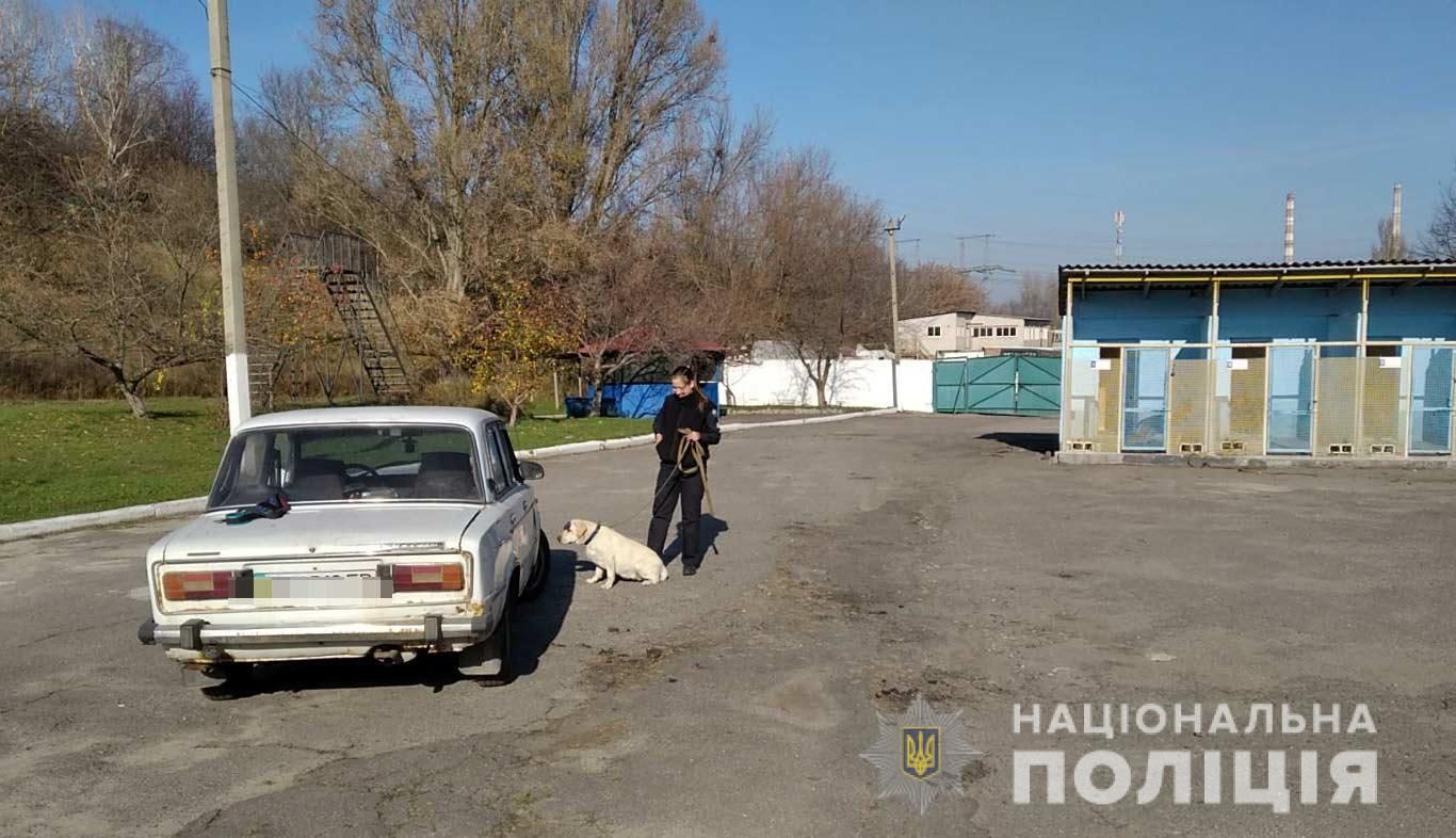 Школьникам Днепра показали, как тренируют служебных собак. Новости Днепра