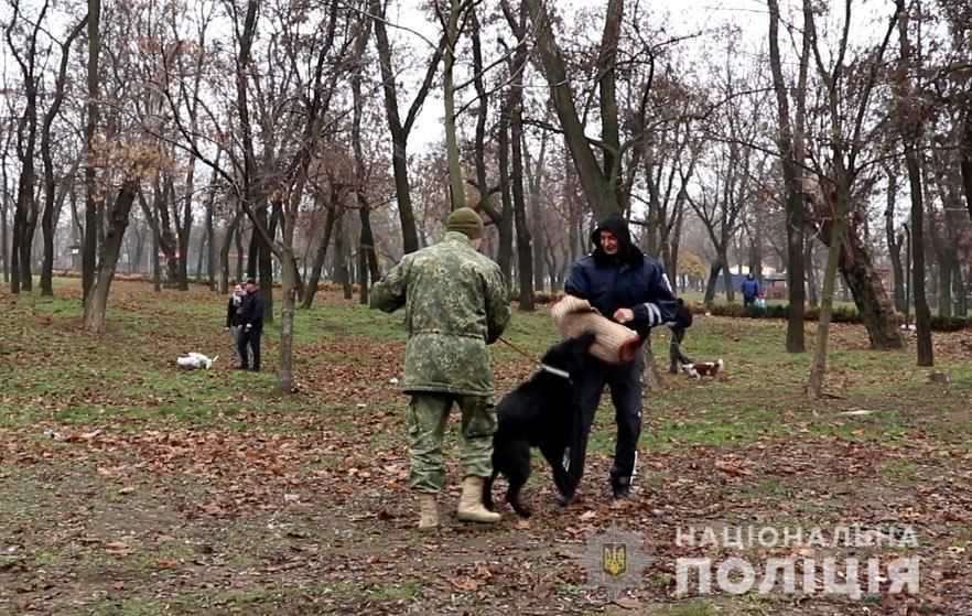 В Днепре открылась площадка для дрессировки и выгула собак. Новости Днепра