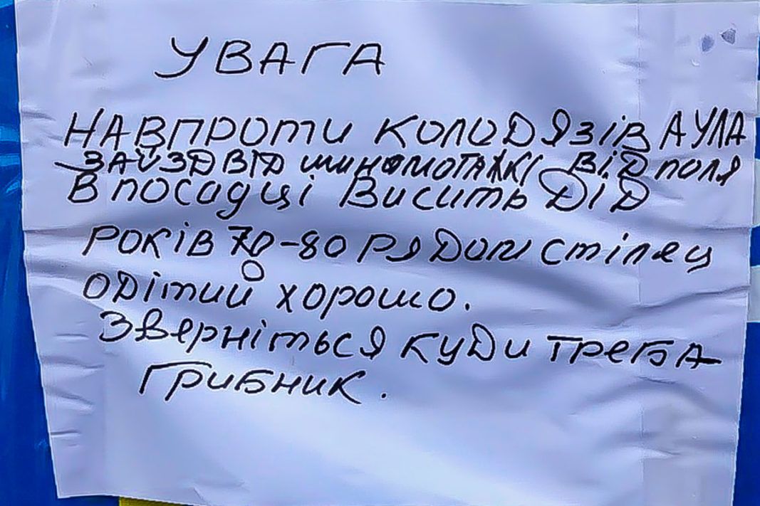 В Днепре грибник нашел повешенного мужчину и оставил объявление об этом. Новости Днепра