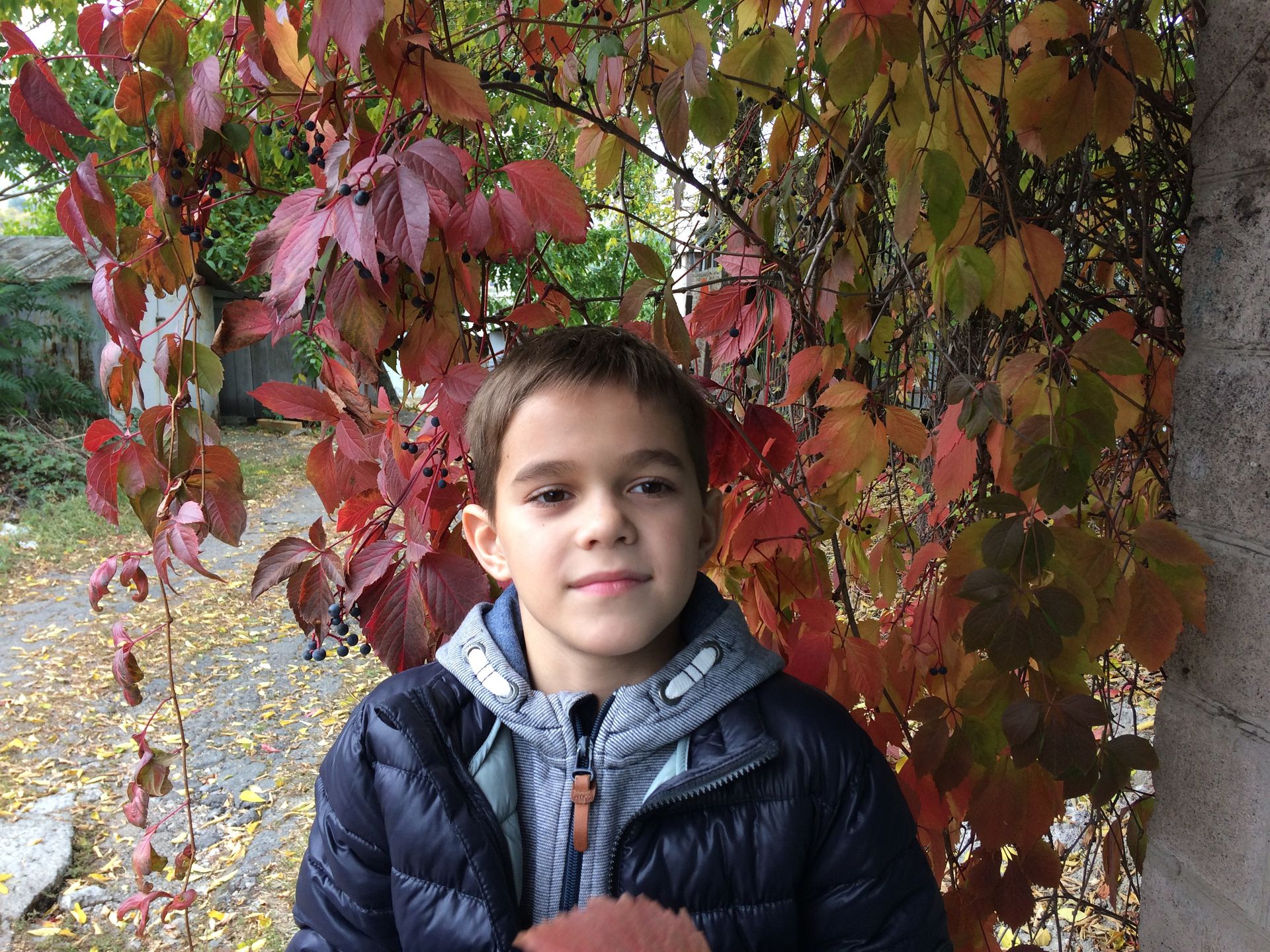 Поможем Диме и Теме Семенихиным сделать новые успехи в борьбе с болезнью