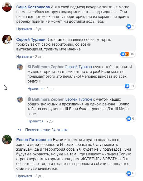 Стаи собак бросаются на людей. Новости Днепра