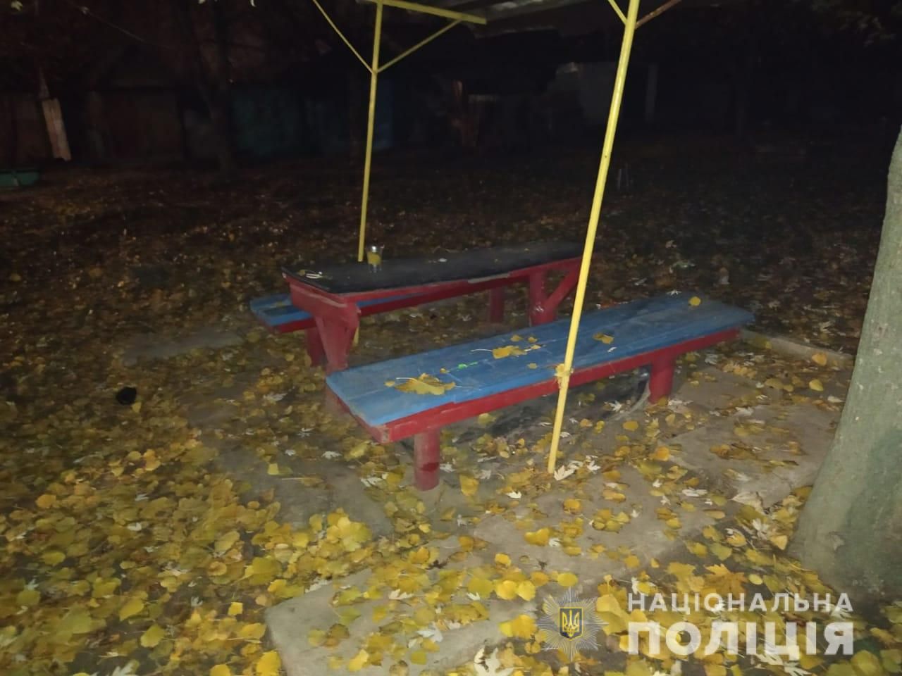 Мужчина с ножом напал на школьницу: подробности. Новости Днепра