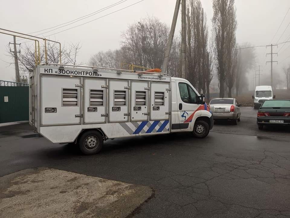 «Интерпайп» и городские власти возвращают в Днепр собак из харьковского приюта