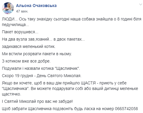 Задыхался и мяукал: неизвестные завязали кота в несколько зарытых пакетов и бросили на улице. Новости Днепра