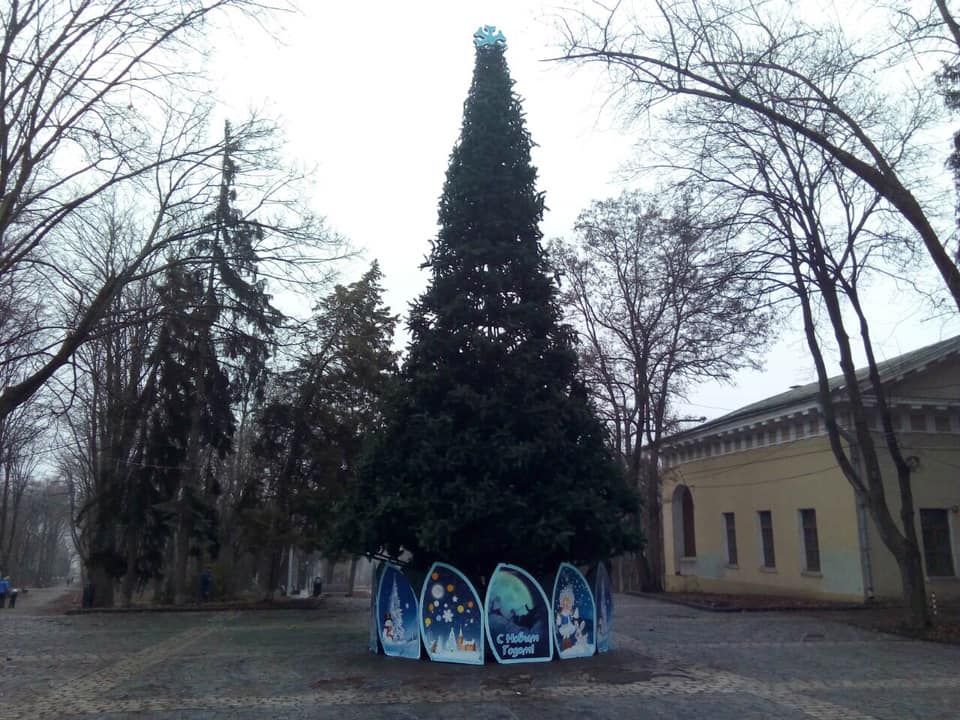 «Не успели поставить»: в Днепре ребенок повредил Новогоднюю елку в парке. Новости Днепра