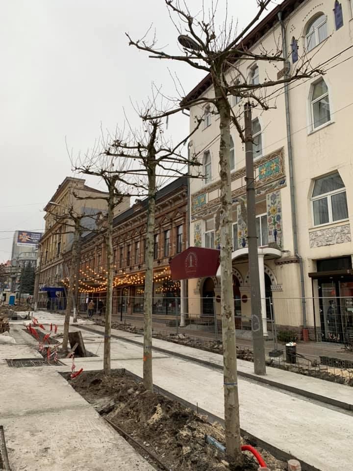 Реконструкция в центре Днепра: на Короленко высадили новые деревья. Новости Днепра