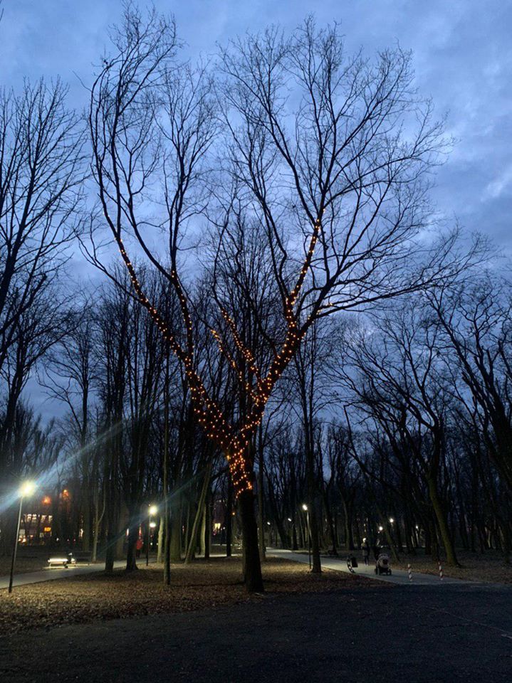 В парке Днепра появилось «дерево желаний». Новости Днепра