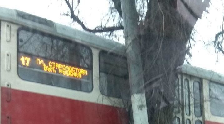 В Днепре трамвай влетел в дерево. Новости Днепра
