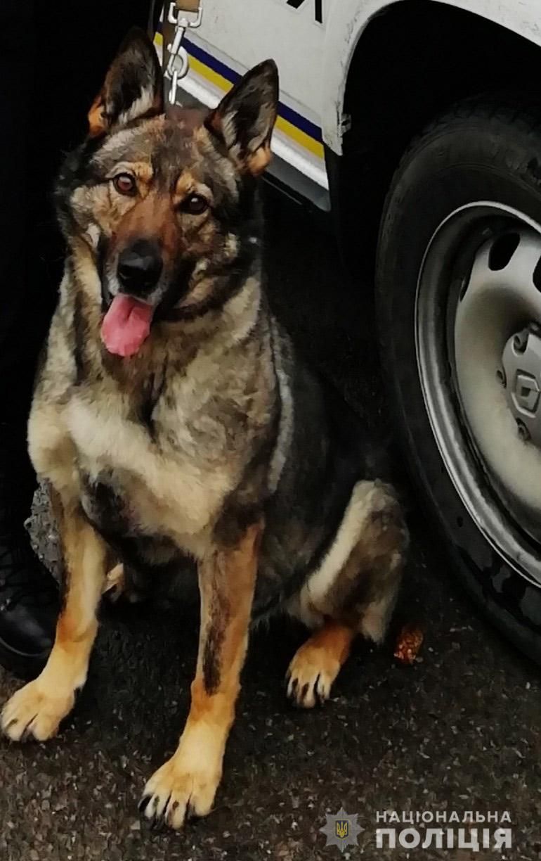 В Днепре женщина скончалась от удара ножом в шею: комментарий полиции. Новости Днепра