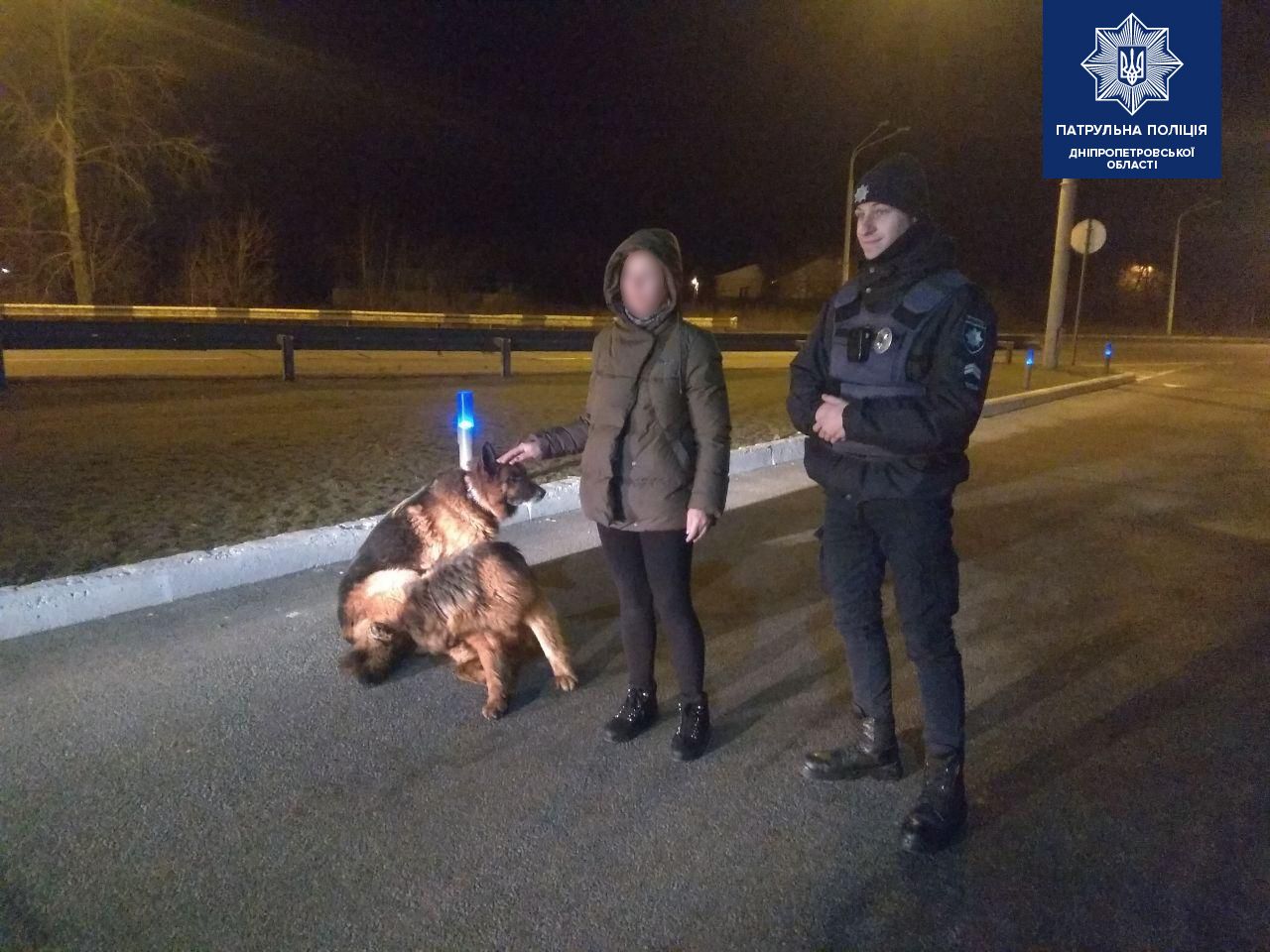 В Днепре полицейские вернули домой овчарок-беглецов. Новости Днепра