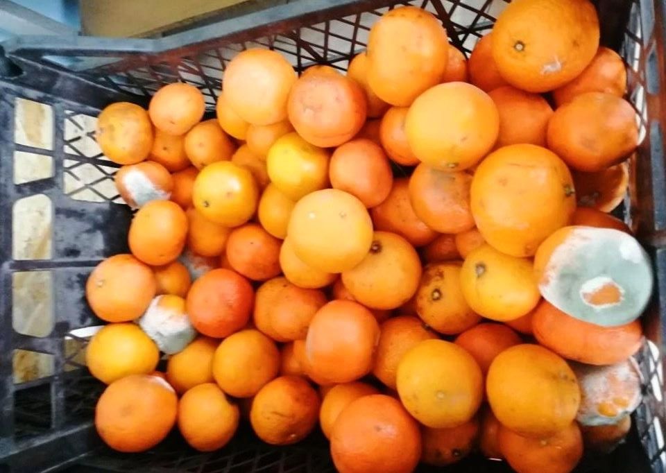 «Отдел «Гнилое и пропавшее»: в супермаркете Днепра продают испорченные продукты. Новости Днепра