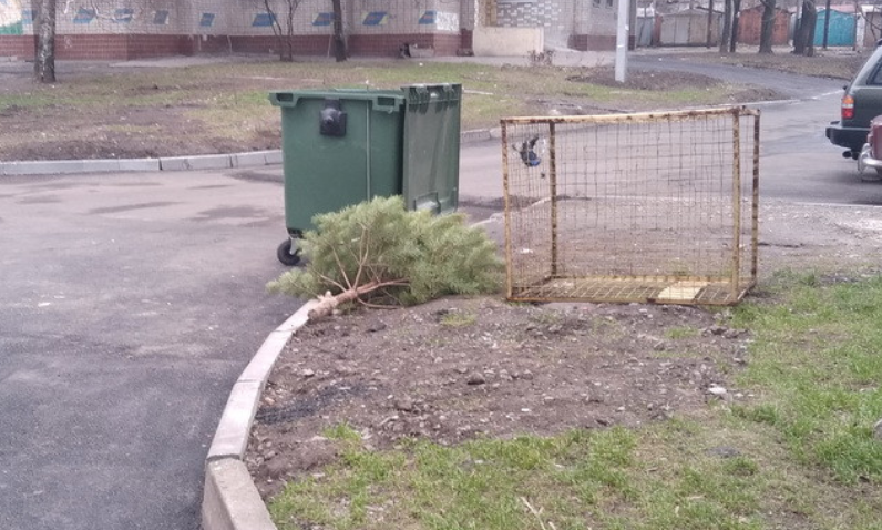 Люди выбрасывают новгодние елки. Новости Днепра