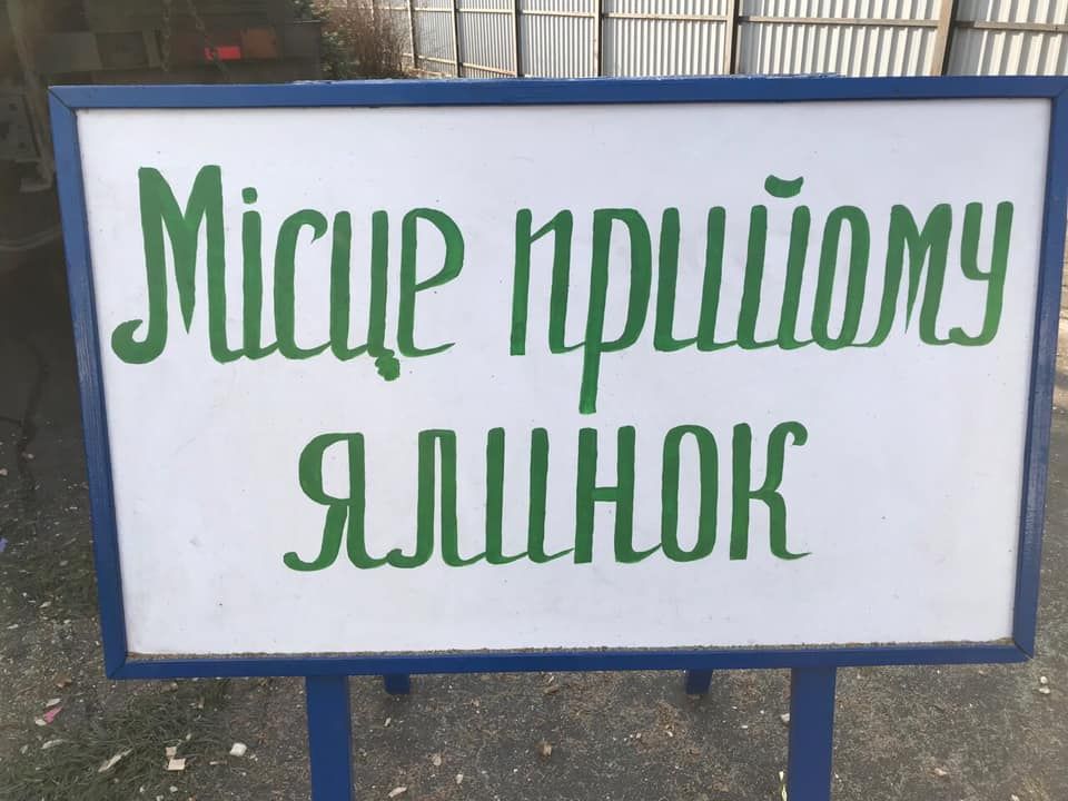 Днепрянам на заметку: куда можно сдать новогодние елки. Новости Днепра