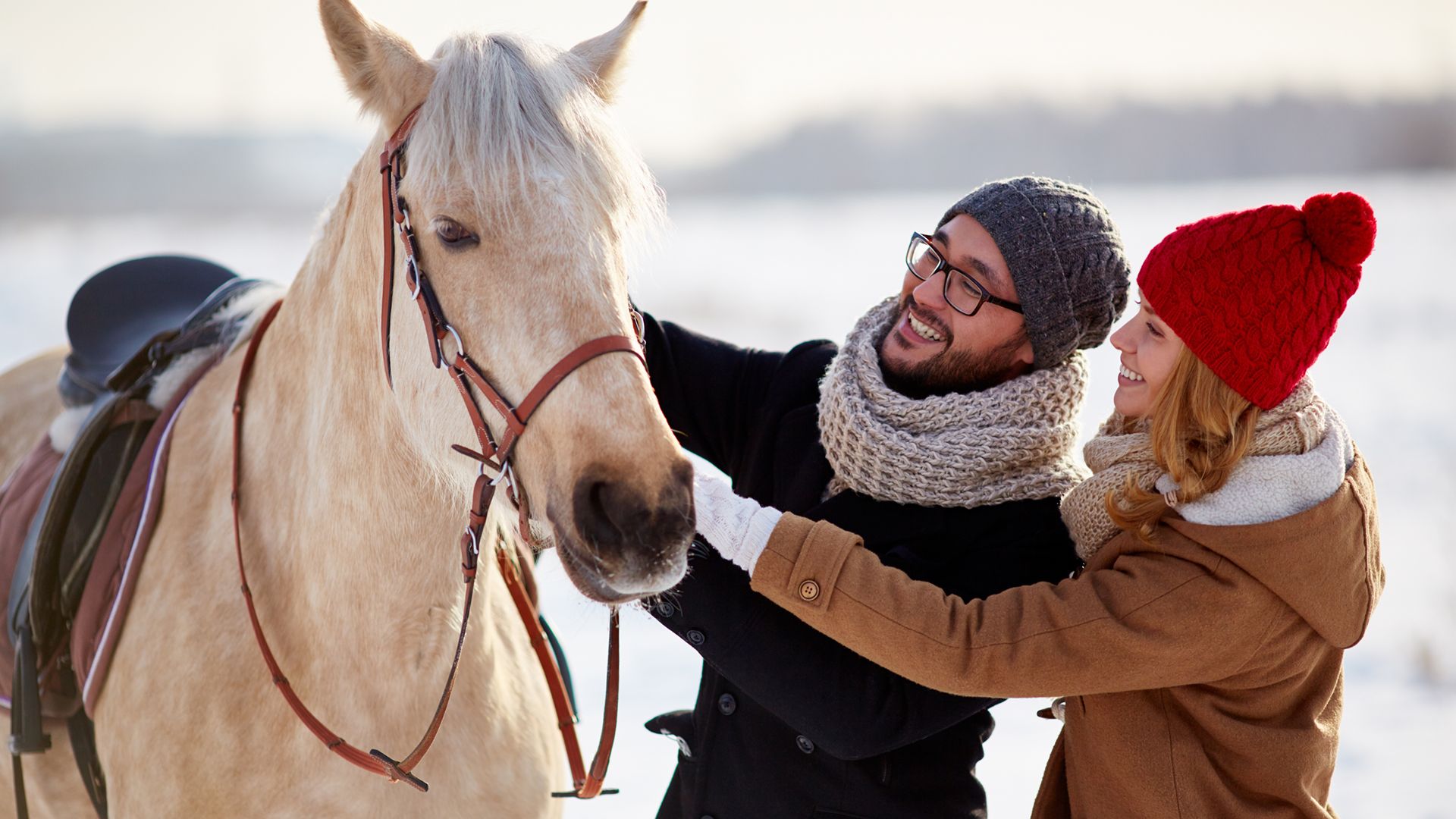От магического шоу – до полета на самолете: чем удивить вторую половинку на День влюбленных в Днепре. Новости Днепра