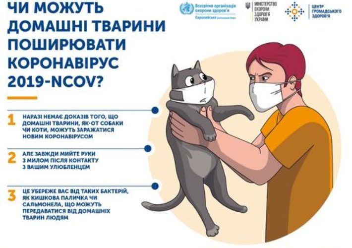 Развенчиваем мифы про коронавирус: заявления врачей. Новости Днепра