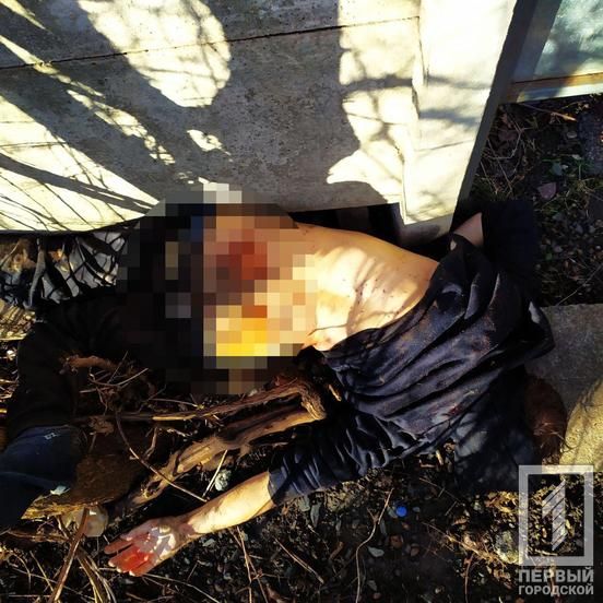 В Кривом Роге задержали убийцу мужчины, труп которого нашли вчера. Новости Днепра