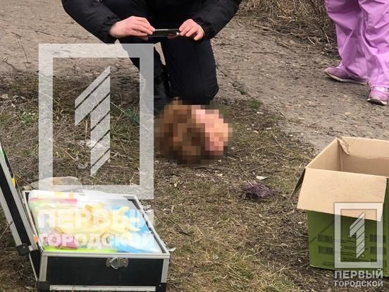 В Кривом Роге обнаружили голову расчлененной женщины. Новости Днепра