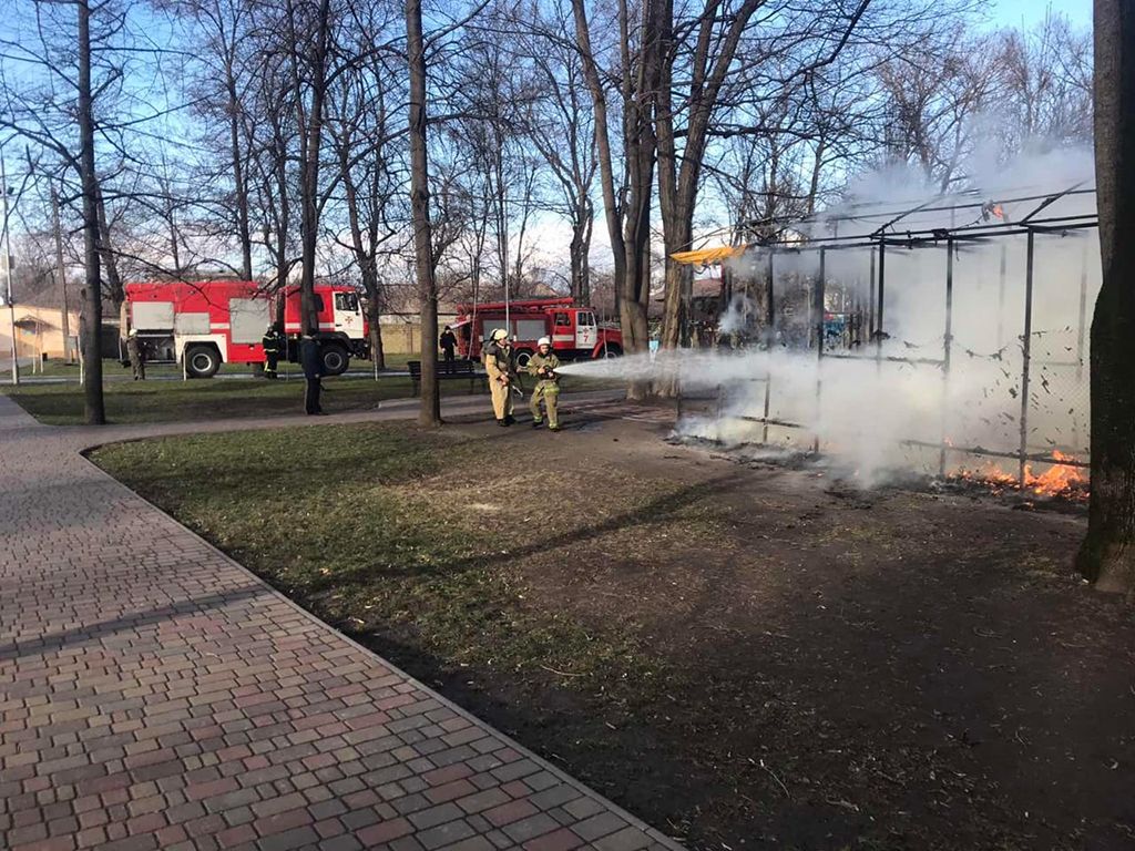 Пожар в парке: загорелся детский аттракцион. Новости Днепра