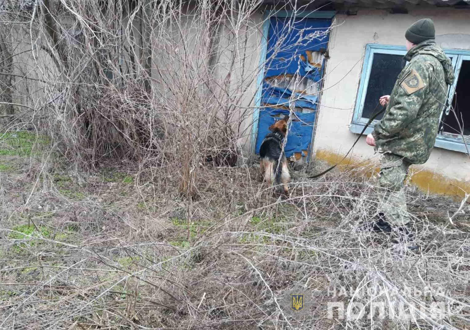 Искали всю ночь: собака помогла обнаружить подростка. Новости Днепра