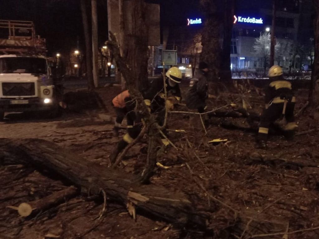 В Днепре дерево упало на маршрутку. Новости Днепра
