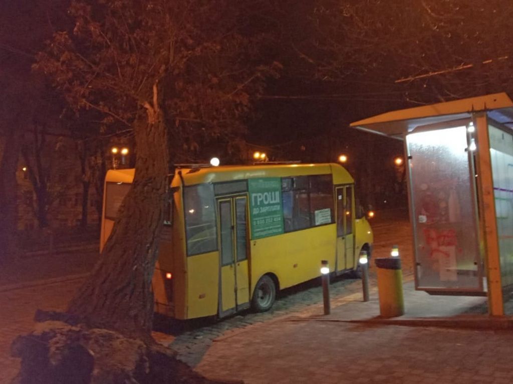 В Днепре дерево упало на маршрутку. Новости Днепра