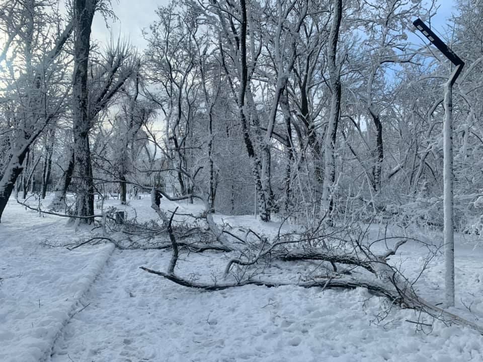 «Красота и непогода рядом»: волонтеров приглашают на уборку парка в Днепре. Новости Днепра