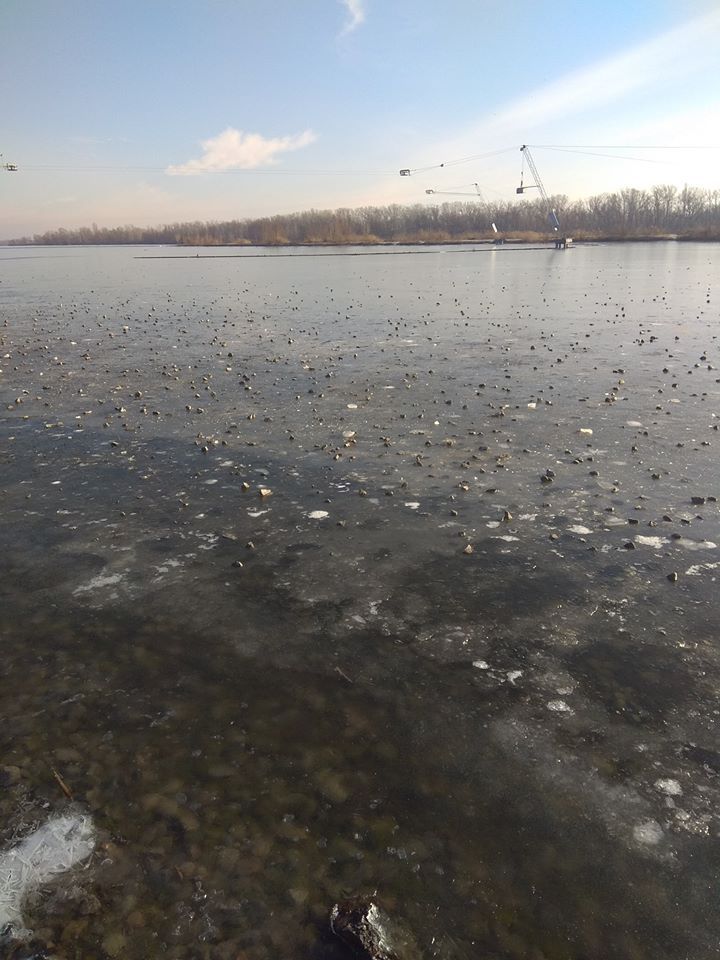 «Чешутся руки»: днепряне продолжают разрушать новый сквер. Новости Днепра