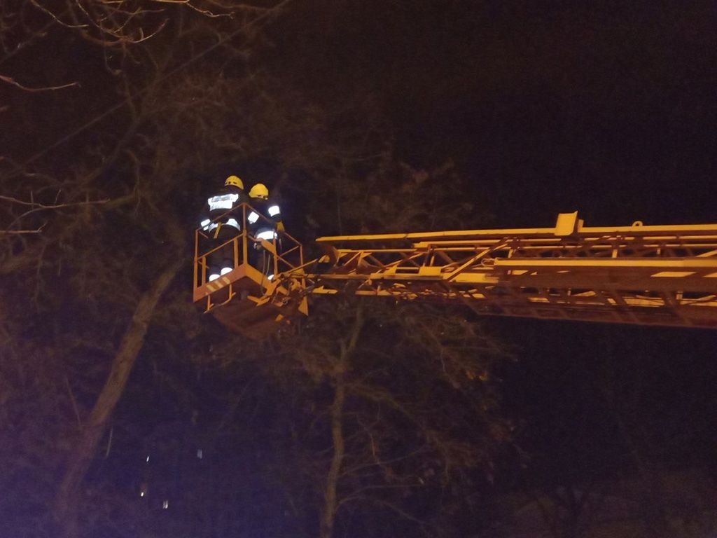 В Днепре дерево упало на маршрутку. Новости Днепра