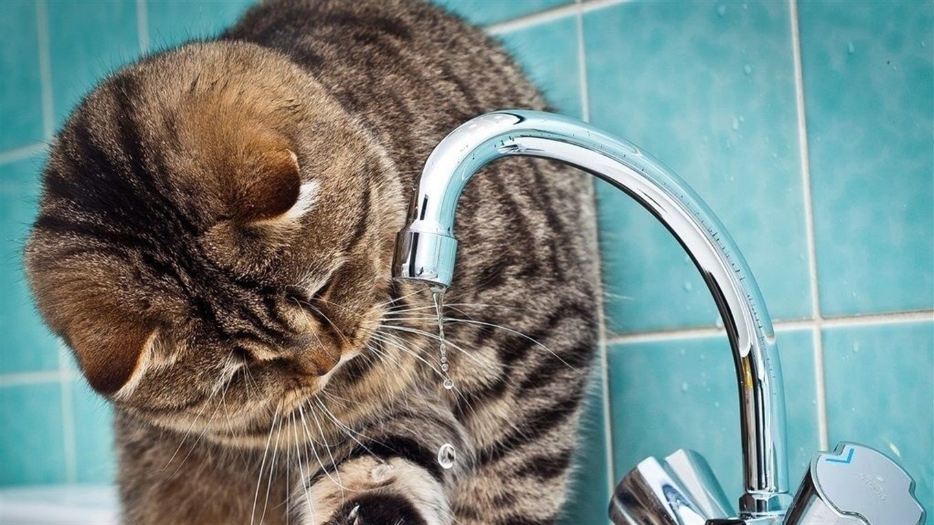 На Левобережном сегодня будут перебои с водоснабжением. Новости Днепра