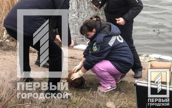 В Кривом Роге обнаружили голову расчлененной женщины. Новости Днепра