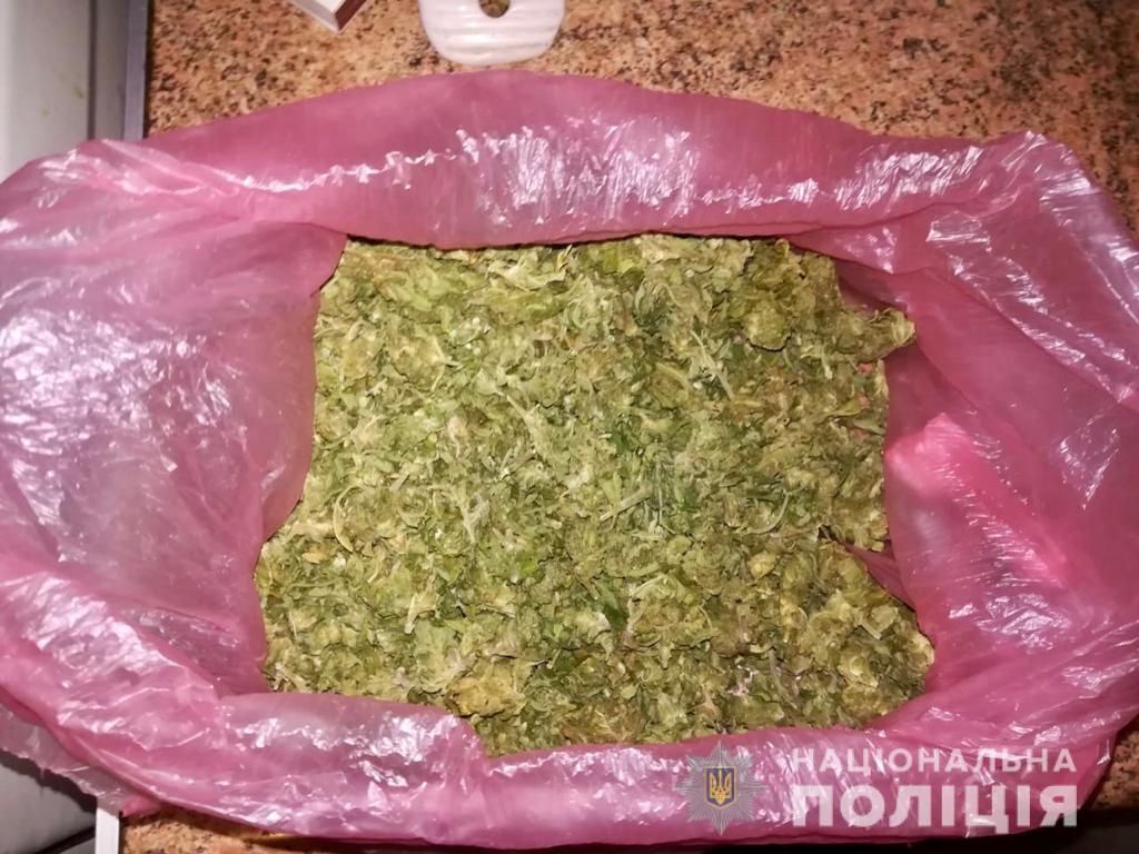 Наркотики на 1 миллион гривен: задержана наркогруппировка. Новости Днепра