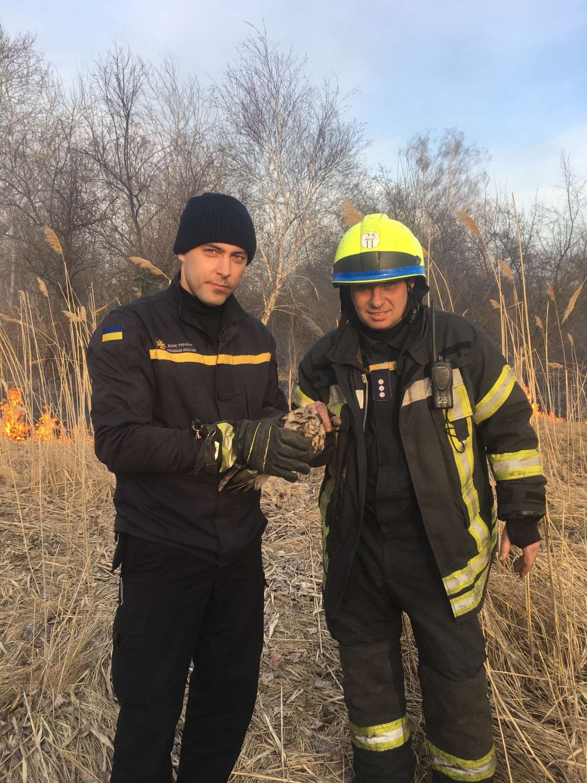 Пожар в Днепре: спасатели вытащили из огня сову. Новости Днепра