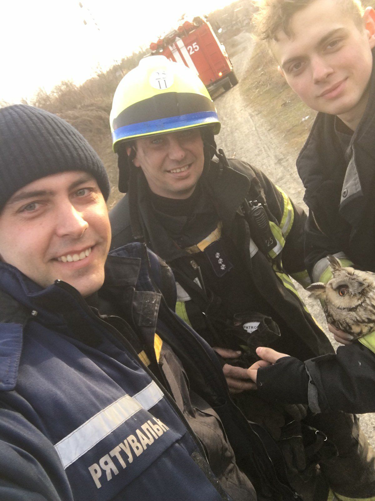 Пожар в Днепре: спасатели вытащили из огня сову. Новости Днепра