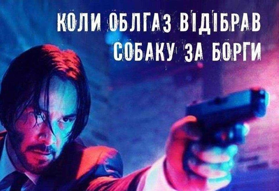 Соцсети взорвались «фотожабами» из-за высказывания нардепа Брагара о продаже собаки для оплаты газа. Новости Украины