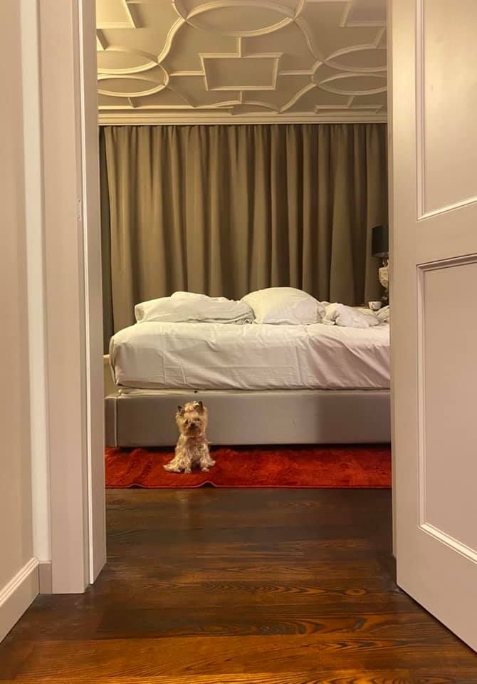 «Она превратилась в какую-то личинку»: Филатов о супруге. Новости Днепра