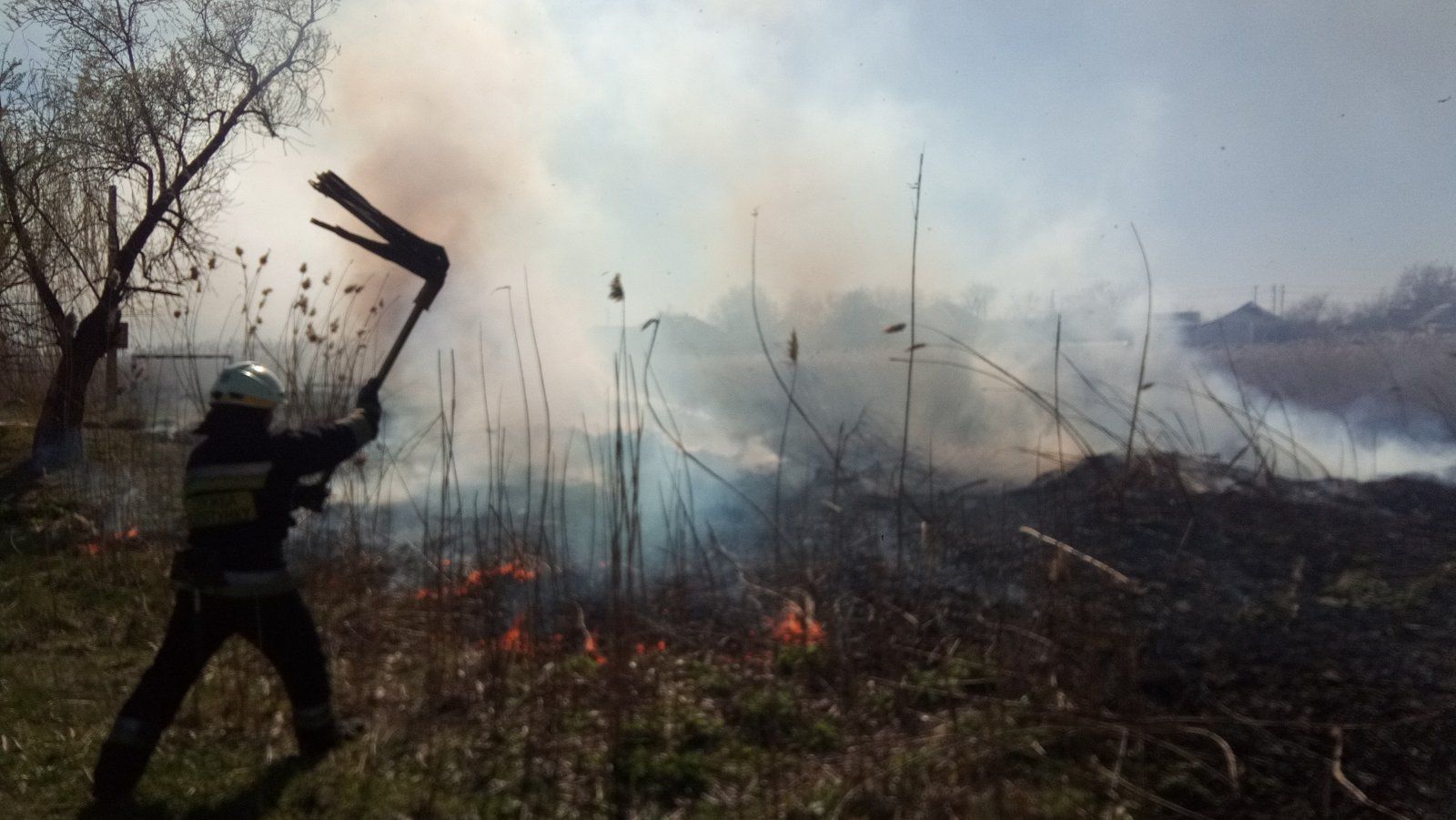 Пожар в Днепре: спасатели вытащили из огня ежа. Новости Днепра