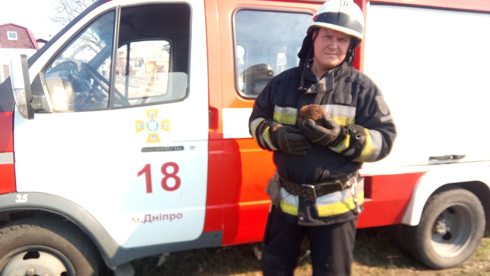 Пожар в Днепре: спасатели вытащили из огня ежа. Новости Днепра