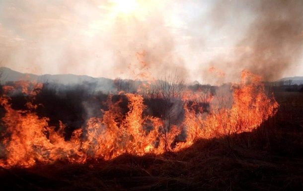 В Чернобыльской зоне горит лес: пожар тушат спасатели. Новости Днепра