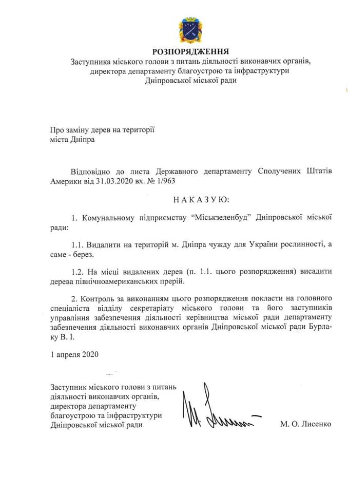 Михаил Лысенко распорядился удалить в Днепре все березы. Новости Днепра