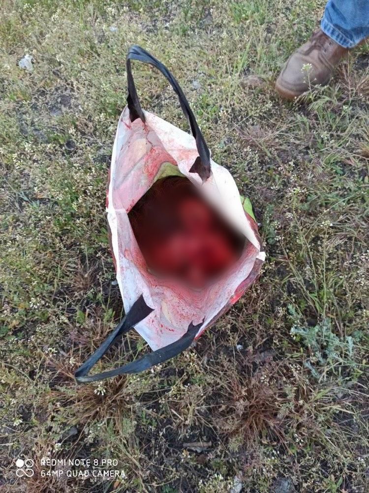 Полиция Харькова задержала голую женщину с отрезанной детской головой. Новости Украины