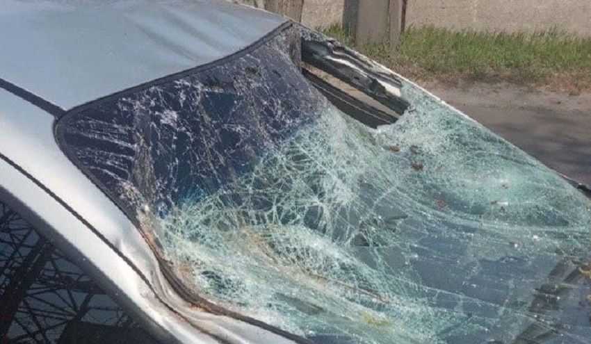 В Днепре дерево упало на авто. Новости Днепра