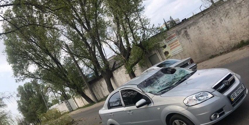 В Днепре дерево упало на авто. Новости Днепра