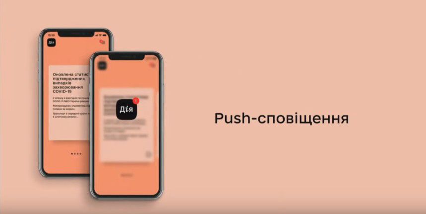 В Украине появятся онлайн-паспорта