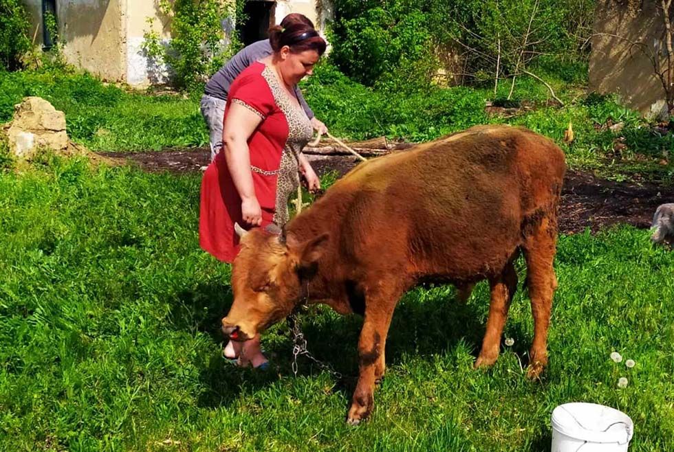 На Днепропетровщине спасатели вызволили животное из ловушки. Новости Днепра