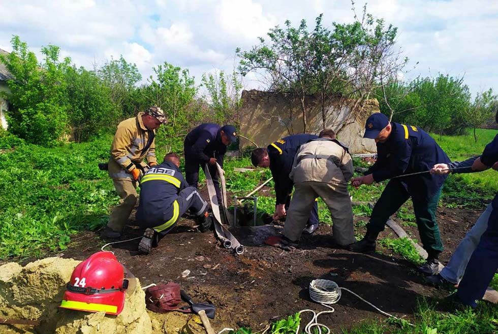 На Днепропетровщине спасатели вызволили животное из ловушки. Новости Днепра