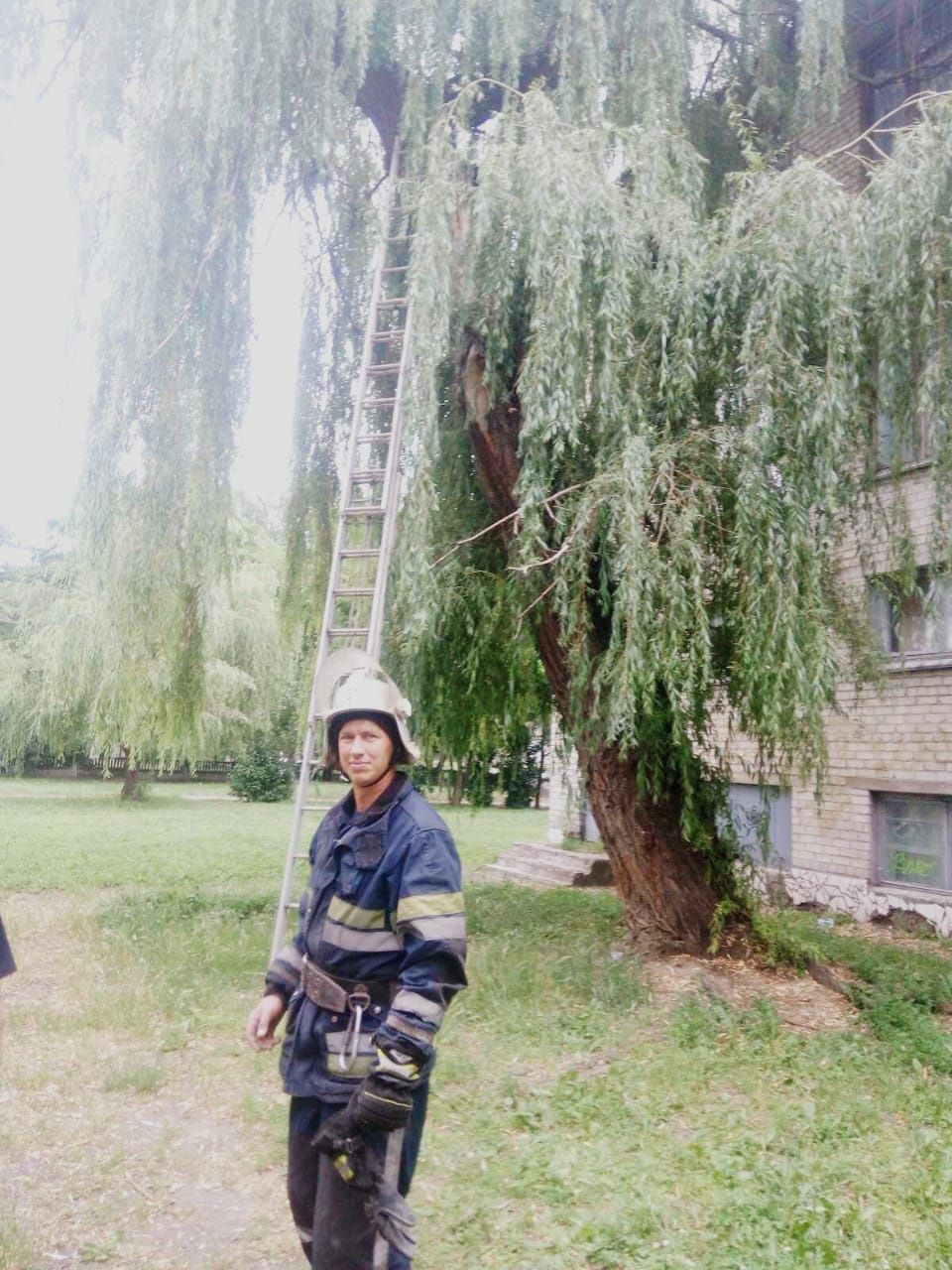 спасатели ГСЧС Днепр дерево