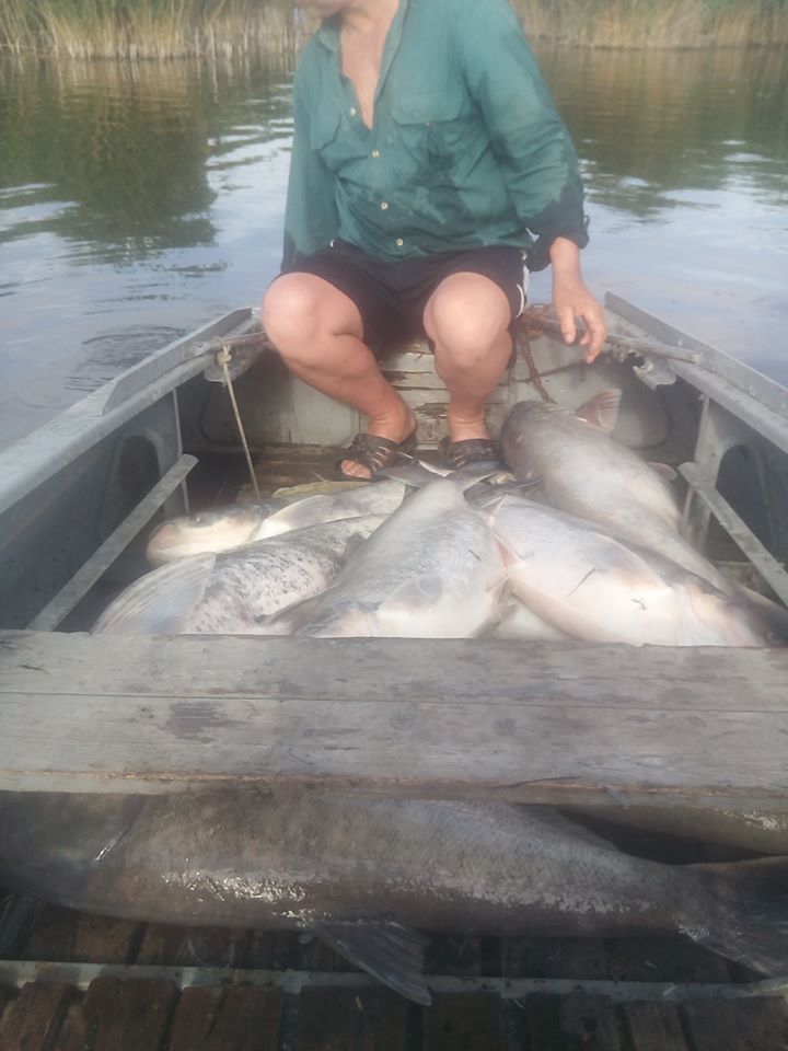 водохранилище рыба мор Апостолово