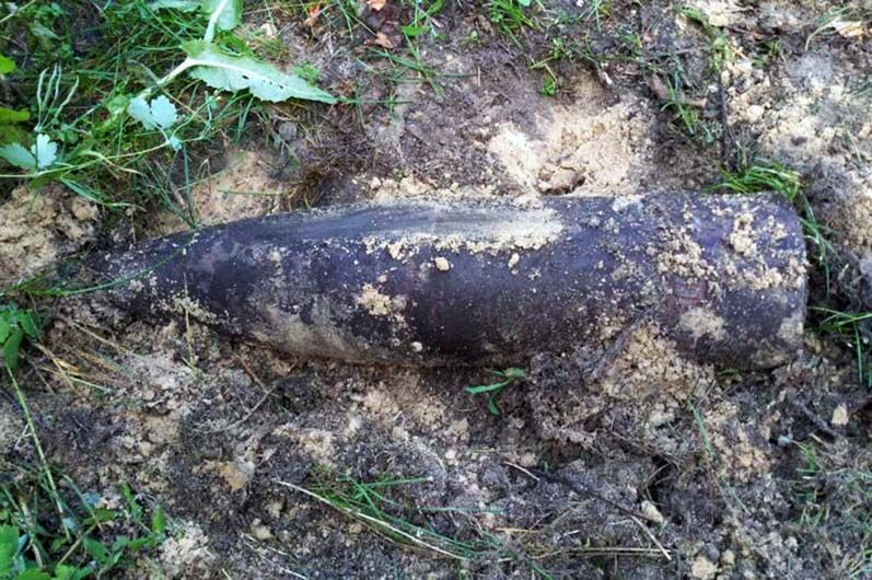 На Днепропетровщине во время выпаса скота мужчина нашел боеприпас  Новости Днепра
